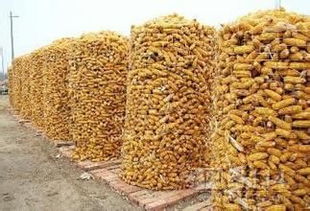 烨邦丝网供应圈玉米电焊网绿色环保优质产品