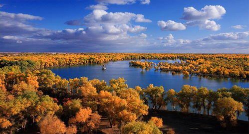 世界上面积最大 最古老 最原始的胡杨林 景色不输额济纳