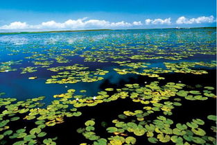 你的车除了用来上下班,还能做这件事 别错过机会