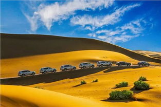 网通社汽车 赤峰众汇上汽大众