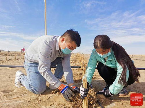 镜头 建设绿色家园