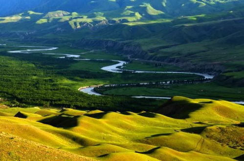 环境时评丨保护生态环境要有定力 经济日报