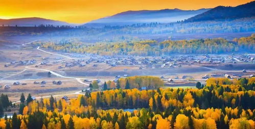 它比普通李子甜,还是妹纸最爱的减肥水果