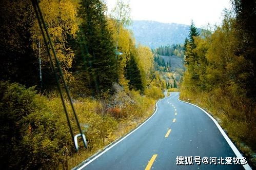 新疆喀纳斯风景区是怎么做到保护环境与观赏性高两不误的