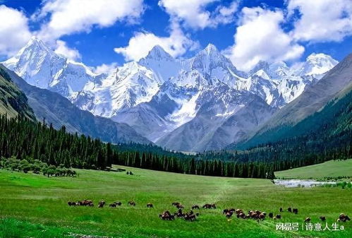 欧洲人毁灭欧洲,西班牙南部沙漠化 当地网友 只有中国人在种树