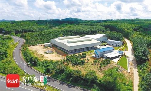 澄迈实施产业扶贫项目94个 投入扶贫资金3359万元