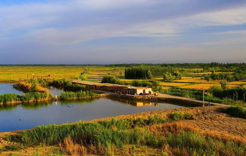 新疆这5处国家级试点湿地公园通过验收,快为你家乡的美点个赞