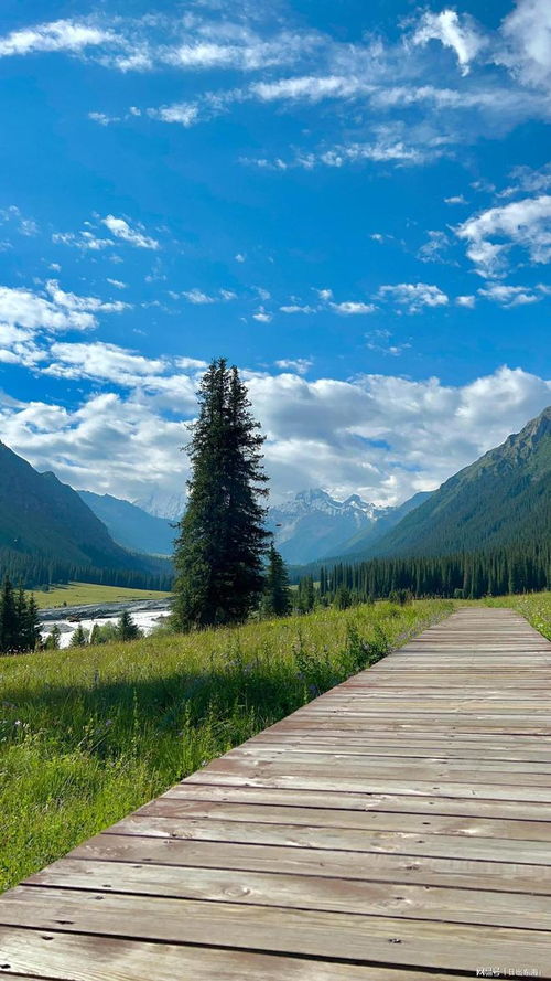 是什么样的地理环境造就了新疆这片神奇的土地呢