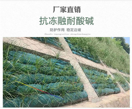 探索新疆乌鲁木齐环保生态袋的价格与价值