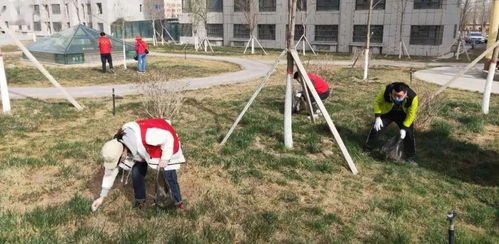 东城街道马家坪社区 “双报到”党员先锋行，携手共建美丽家园