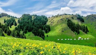 去过南山好多回,这些地方风景如画,但你都能叫上名字吗