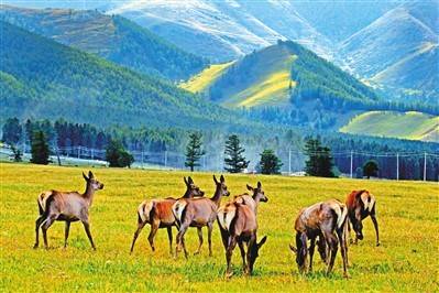 分区管控 生态更美 新疆环保