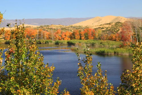 新疆资源生态环境数据库 构建绿色丝路数字基石