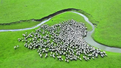 新疆 以环保为基，升级设施与服务，打造高品质旅游新名片