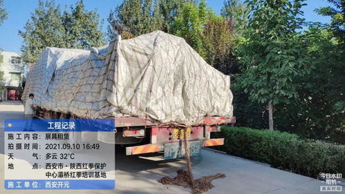 开元展览 环保展具跨越山海，绿色理念扎根新疆